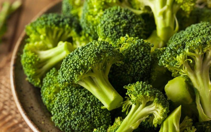 Benefici della vitamina B9 per i cani
