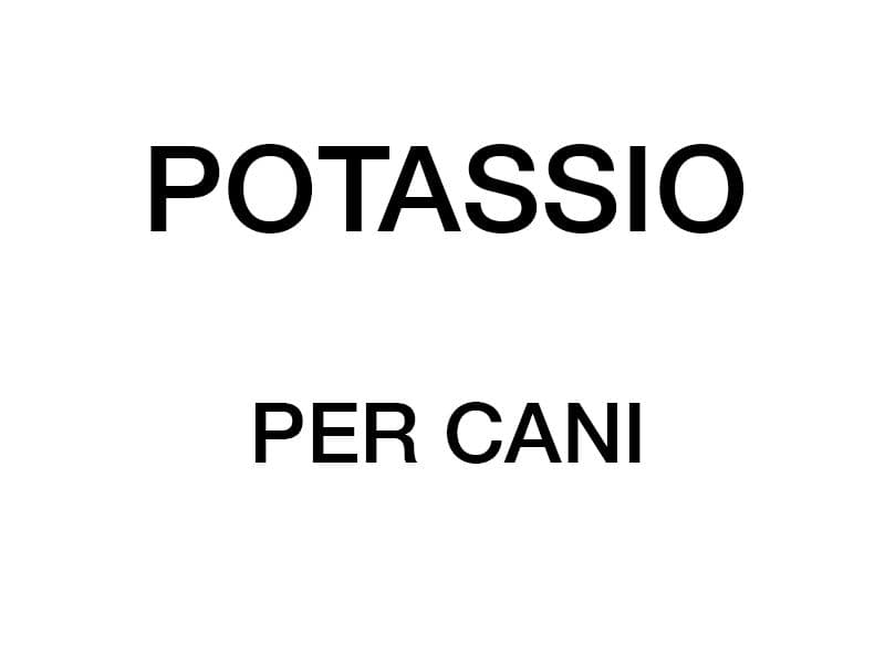 Ruoli del potassio nel corpo di un cane