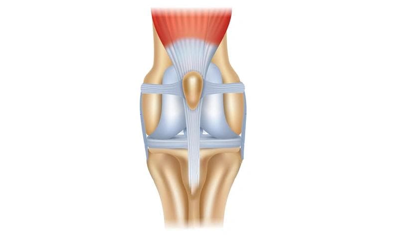 I muscoli stabilizzatori supportano la salute delle articolazioni